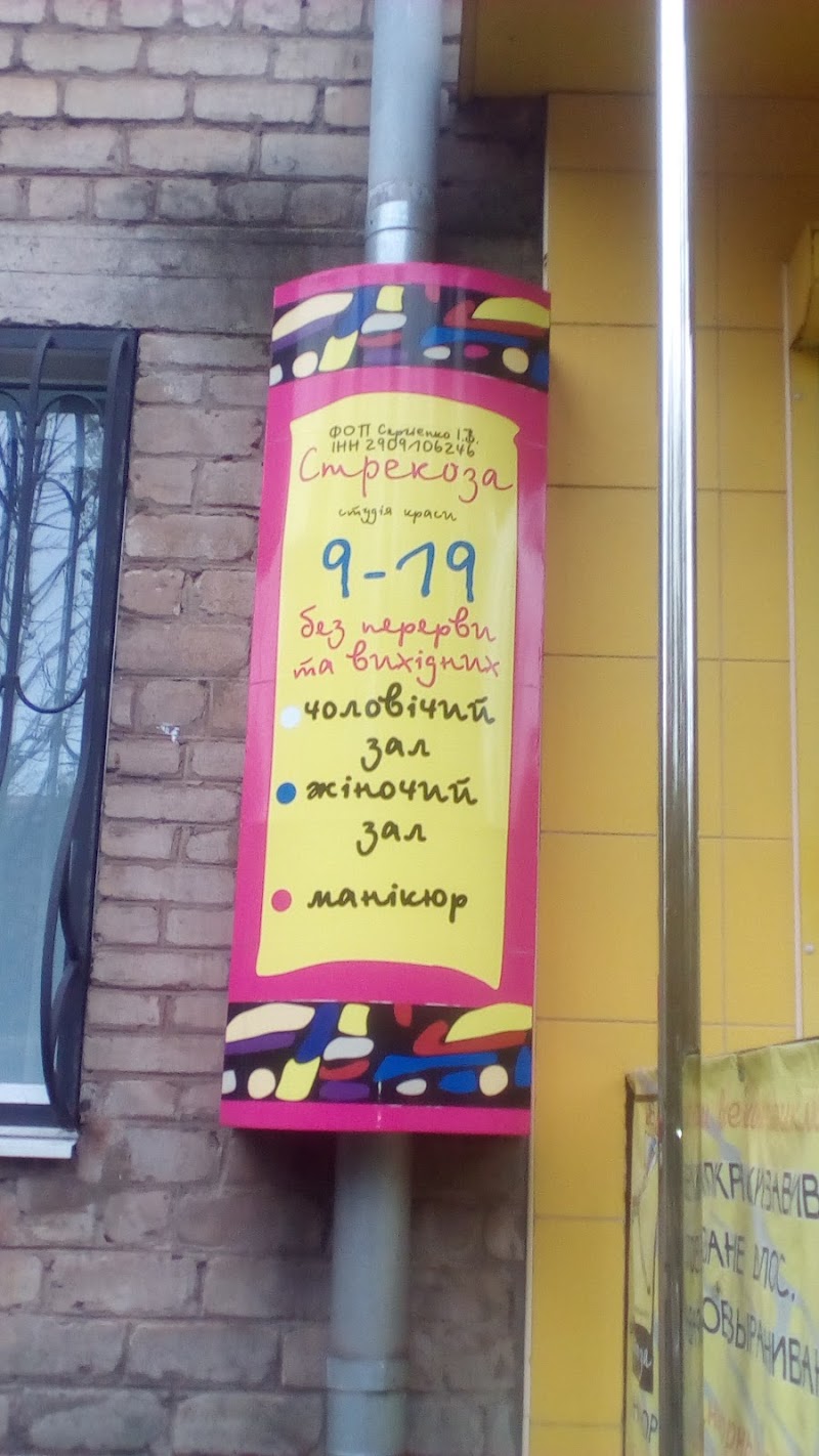 Стрекоза